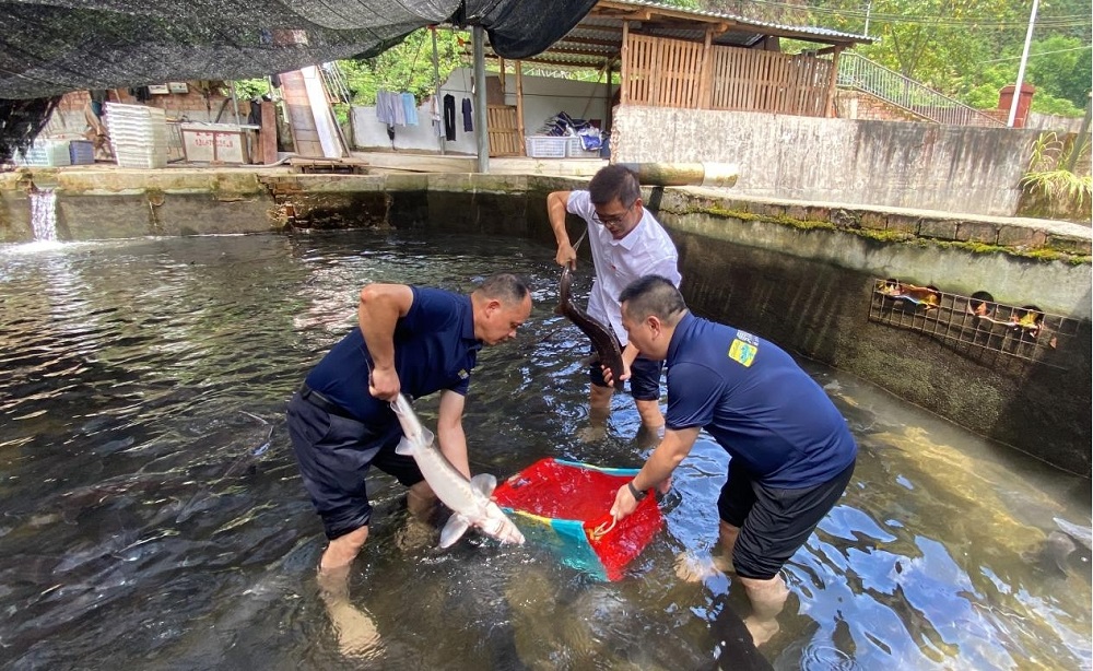 安博电竞·(中国区)官方网站